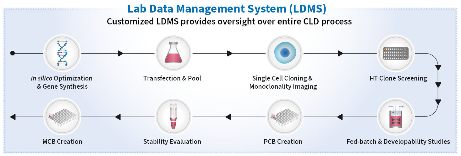 WuXi Biologics Cell Line Development workflow