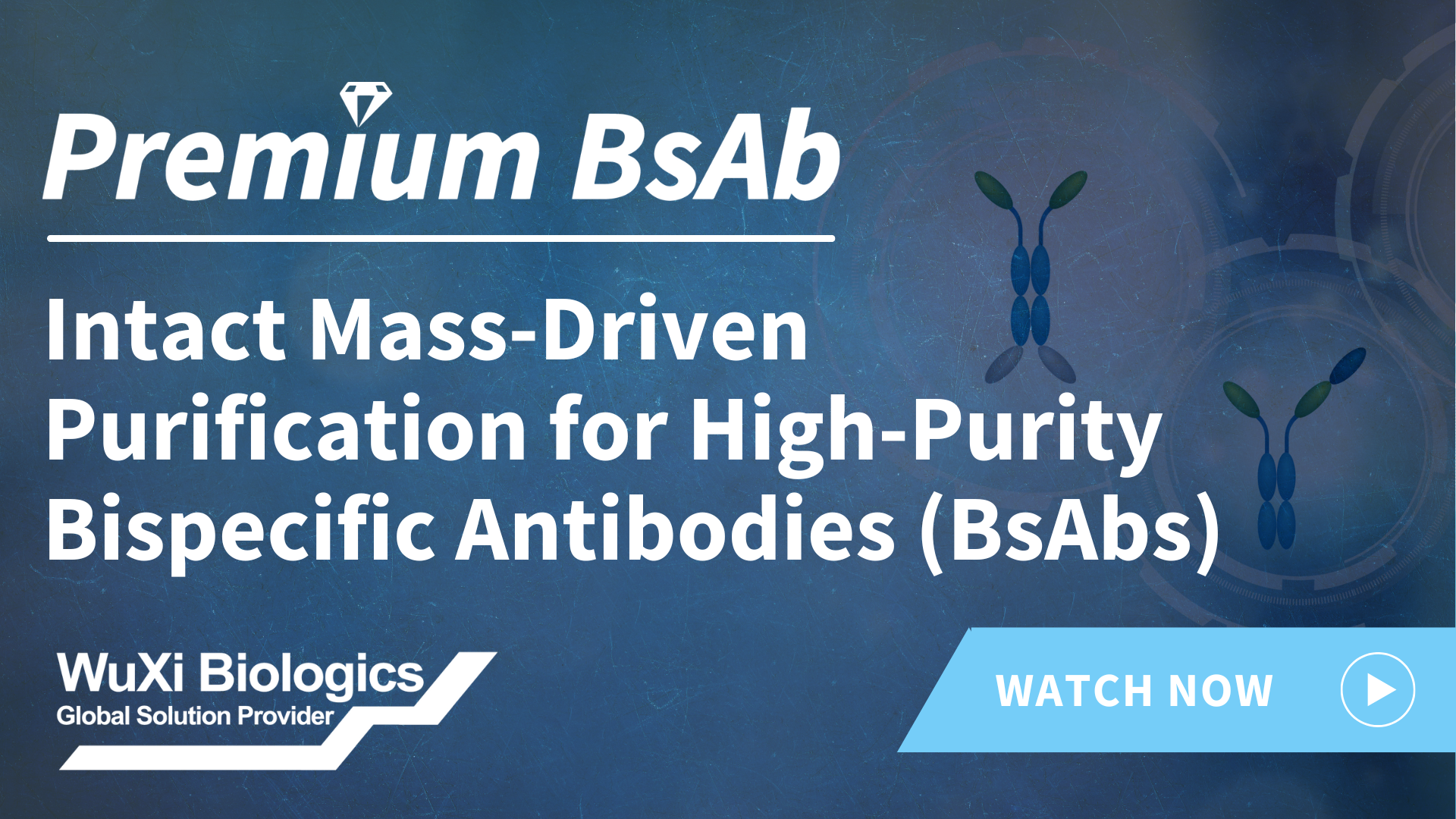 The Premium BsAb platform utilizes Intact Mass-assisted purification to remove byproducts, achieving heterodimers purity of 98% or more and endotoxin levels