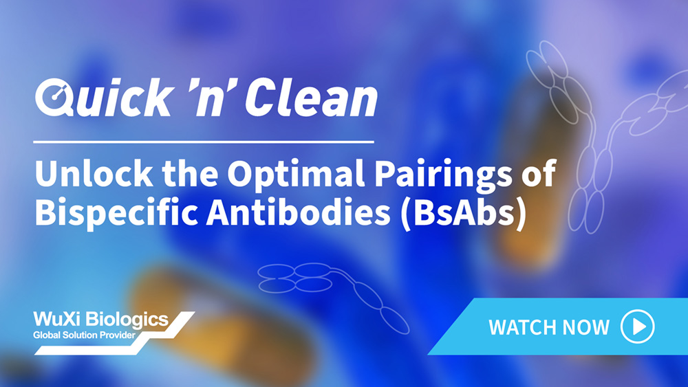 A HTP bispecific antibody (BsAb) production platform designed to unlock the optimal pairing of BsAb in a fast and cost-effective way (~3-4 weeks).