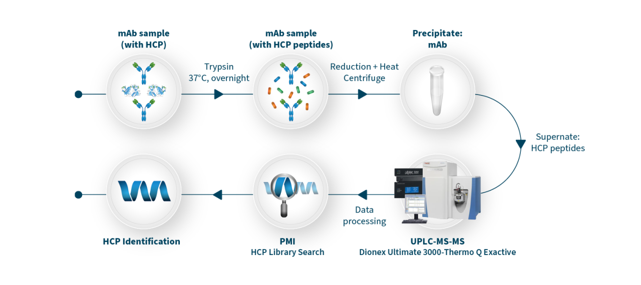 Host Cell Proteins Hcp Detection