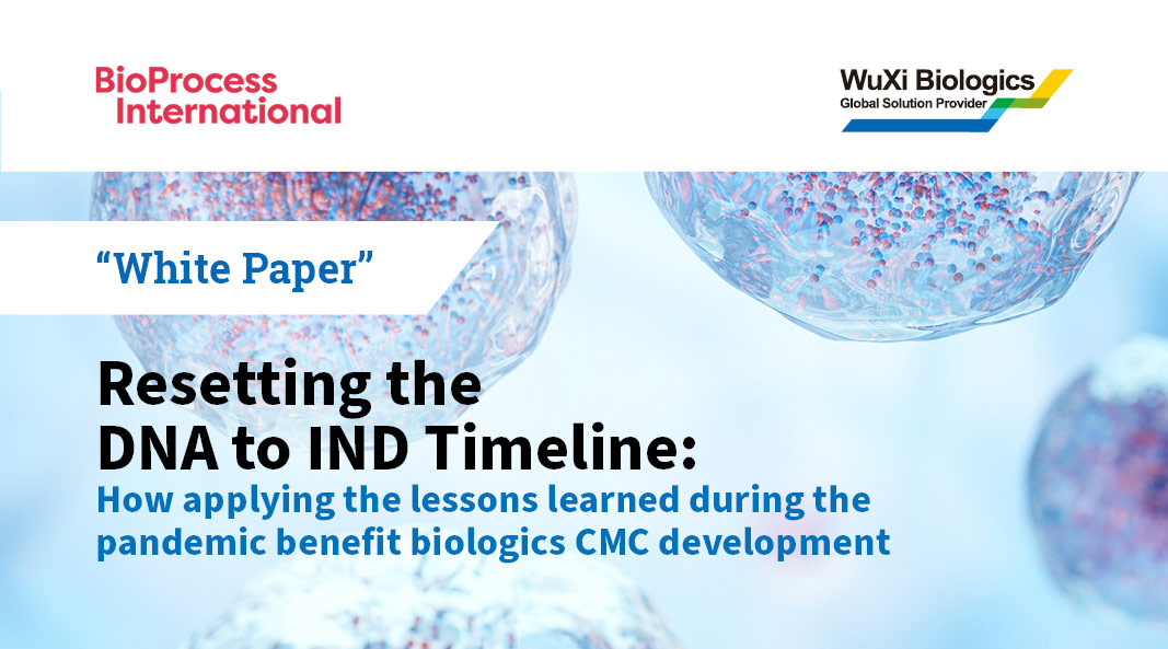 Resetting the DNA to IND Timeline: How Applying the Lessons Learned During the Pandemic Benefit Biologics CMC Development